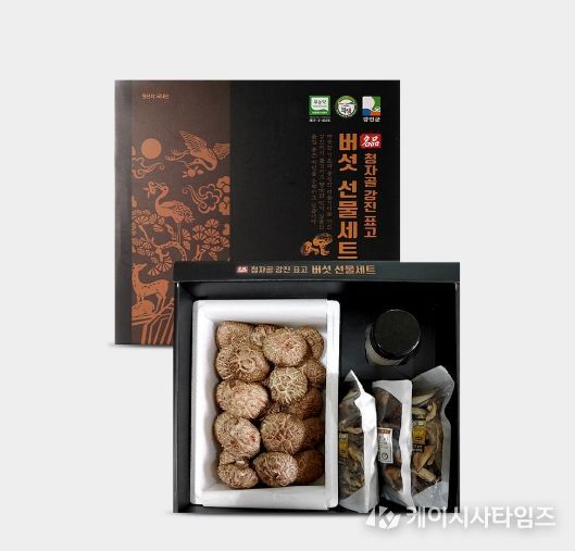 청자골강진표고 버섯 선물세트(생표고버섯, 표고가루, 슬라이드 건표고, 통표고, 표고차)