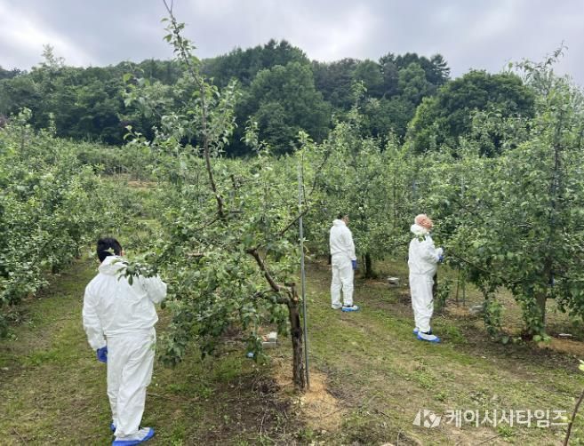 음성군, 과수화상병 사전 예방 집중 기간 운영