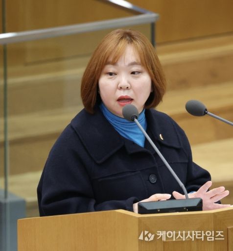 경기도의회 전자영 의원