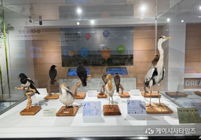 ‘태화강 조류 특별전시전’