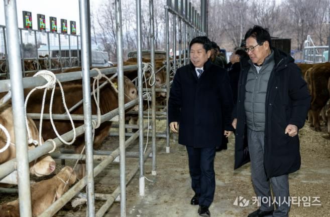 제천가축시장 방문 사진