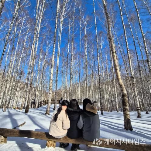 인제군, ‘머무는 관광’ 시대 연다...농림축산식품부 ‘2026년 지역단위 농촌관광사업’ 최종 선정