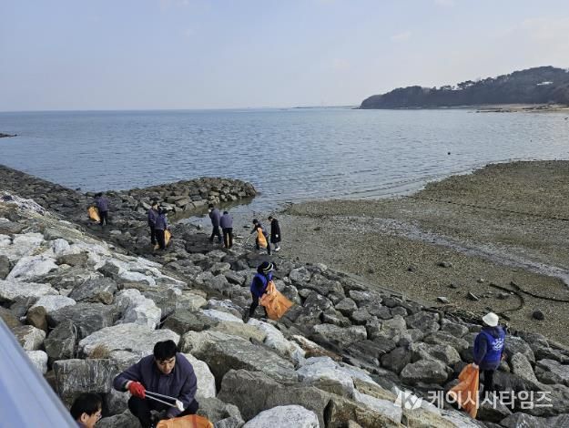 바닷가 대청결 활동