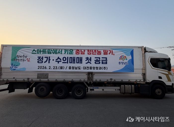 청년농 재배 딸기 1톤 정가·수의 매매 방식 시범 공급