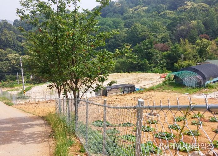 대전 대덕구가 고라니 등 야생동물로 인한 농작물 피해를 줄이기 위해 예방시설 설치 지원사업을 확대한다. 사진은 예방시설 설치 모습.