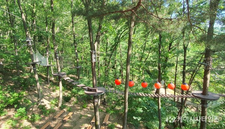 내달 태조산 산림레포츠단지 개장