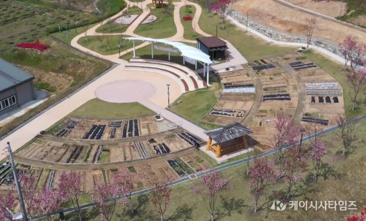 정읍시, 도심 속 힐링 ‘왕솔밭 텃밭’ 73곳 분양 완료