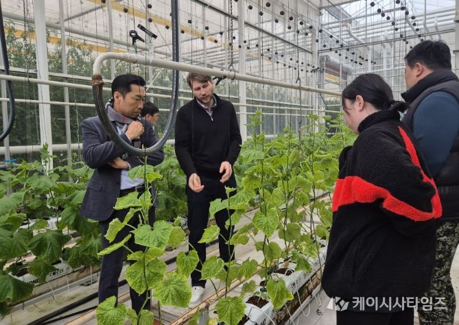 해외전문가 초청 오이 재배기술 심화교육