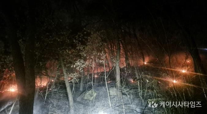 산불 발생 사진