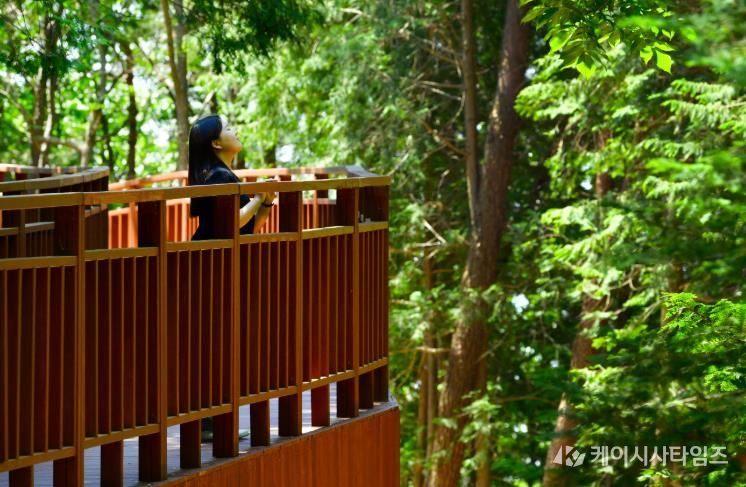 장성 축령산 하늘숲길을 찾은 관광객.