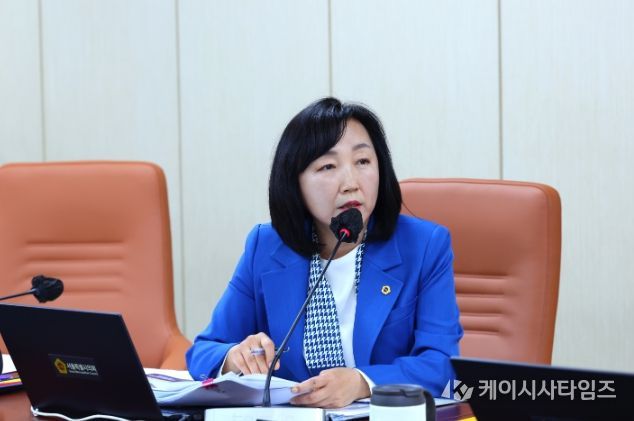 서울시의회 이영실 의원