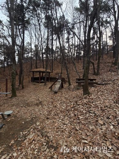 시설이 노후화된 수지구 광교산 숲길 전경