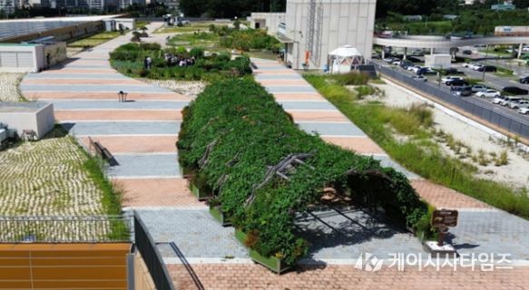 남촌농산물도매시장 옥상텃밭 프로그램 참여자 모집