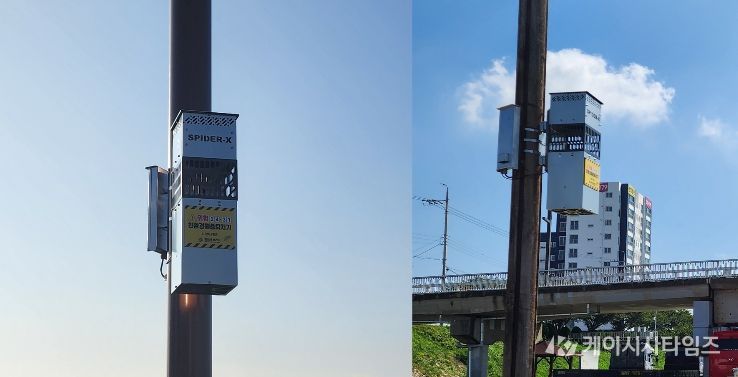 금창교 일원에 설치된 포충기