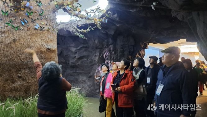 2026년 1차 문화여행