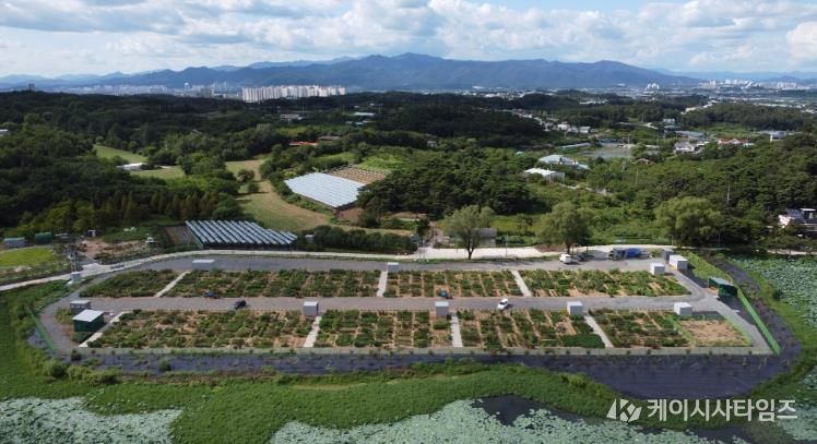 경산시, 도시농업 공영농장 개장, 시민 호응 기대