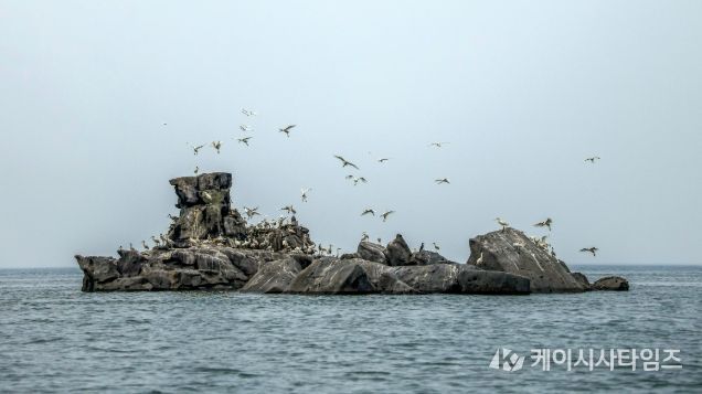 강화도 생태마을 ‘저어새 선상탐조’ 프로그램에서 관찰되는 각시바위 일대 저어새 서식지 모습