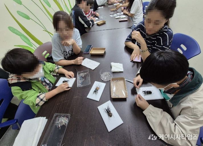 곤충표본 만들기