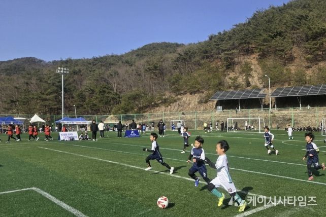 보은군, 봄철 체육행사 잇따라 개최…지역경제 '활력'