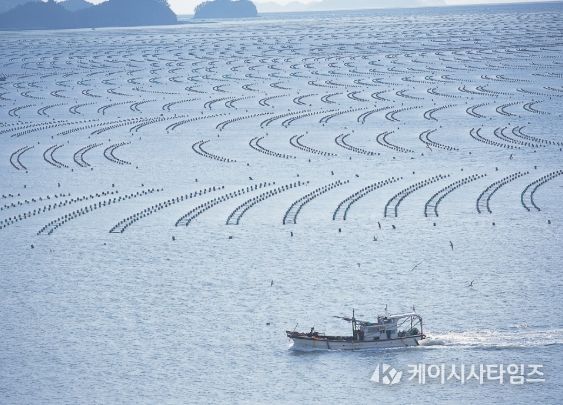 해남군, 수산물 유통·가공 분야 106억원 투입 어촌 경제 활력‘총력’