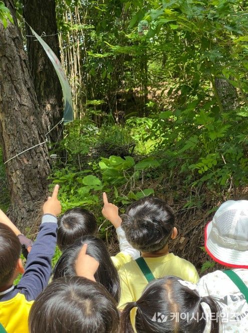 잎새숨결 자연놀이