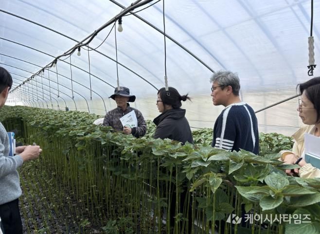 진안군, 수경재배 잎들깨 고품질 생산 현장컨설팅 추진