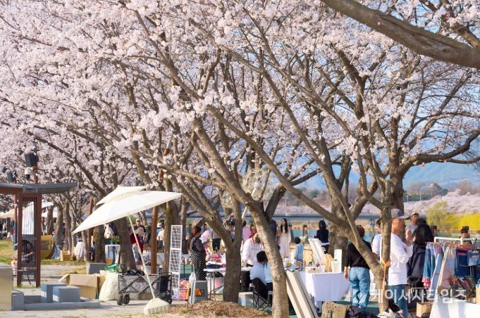 2026 제4회 구례300리 벚꽃축제