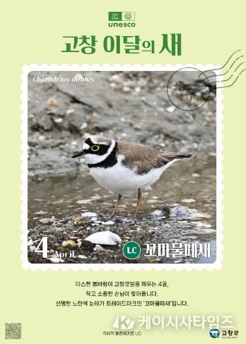 고창갯벌 이달의 새(4월)_꼬마물떼새 홍보 이미지