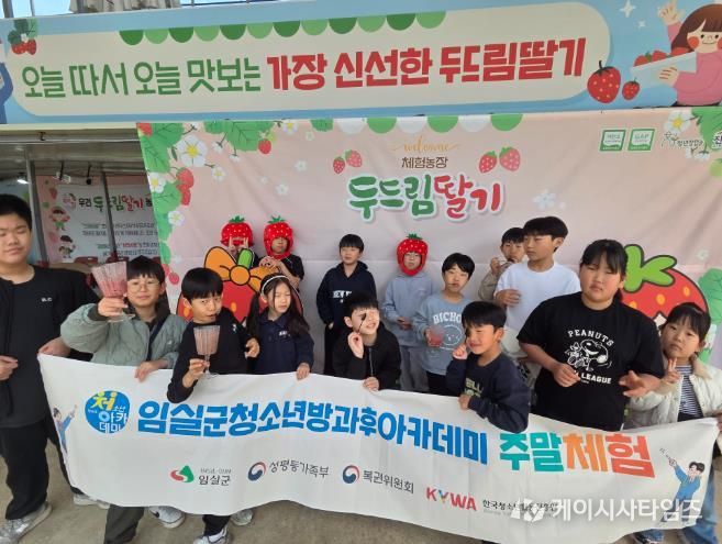 임실군 청소년방과후아카데미“딸기체험”운영으로 농촌의 즐거움 만끽