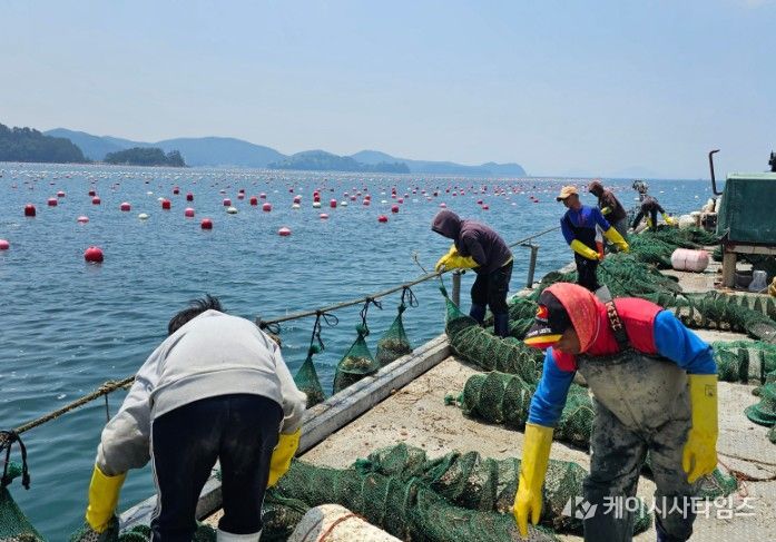굴 모패장 설치