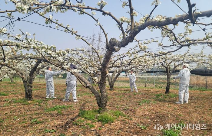 봄철 이상기후 선제 대응…원예작물 생육안정화 총력