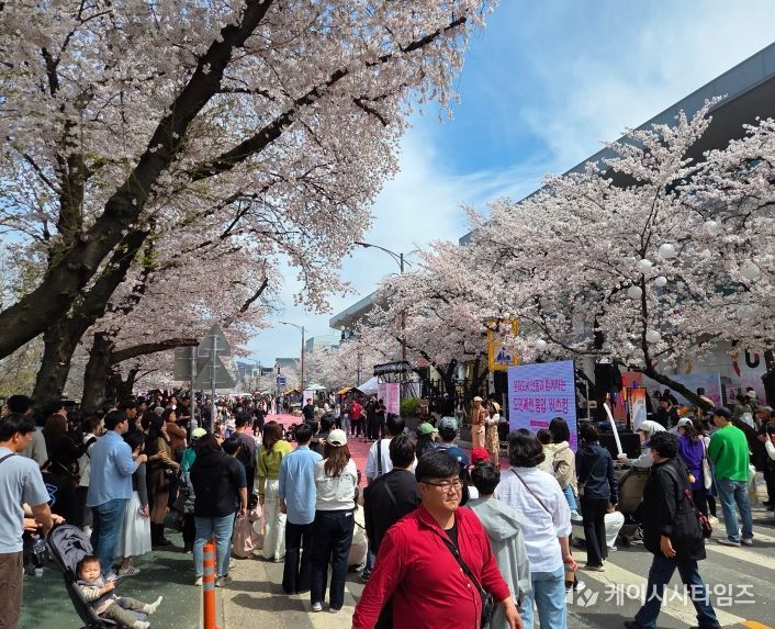2026 안동 벚꽃축제, 체류형 관광 성과 확인