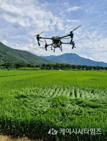 정선군, 379ha 규모 드론 방제 시범사업 추진
