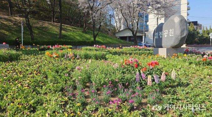 이천시, 설봉공원 봄맞이 초화류 식재 완료