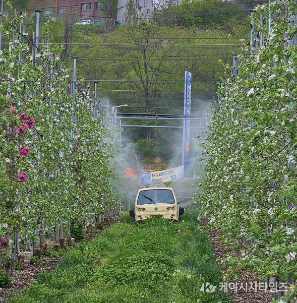 안동시, 과수화상병 ‘개화기 적기 방제’ 총력