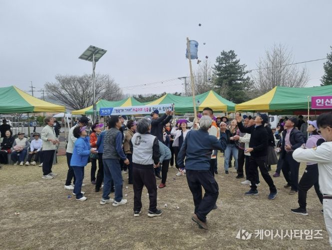 홍성군 금마면민체육대회 성황…면민 1,200명 화합의 장
